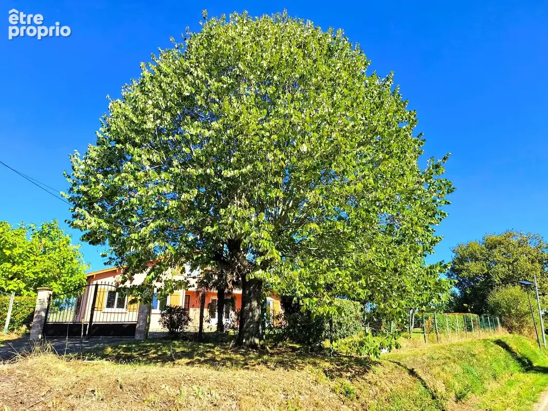  À VENDRE  Maison 3 chambres avec garage de 50 m² et terrain de 2 500 m² à Vergoignan - photo 20