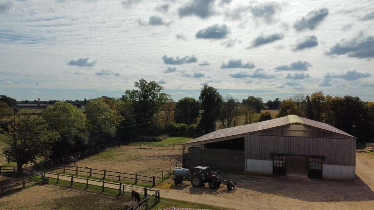 Photo 4 - Maison à LA CHAPELLE-GAUTHIER