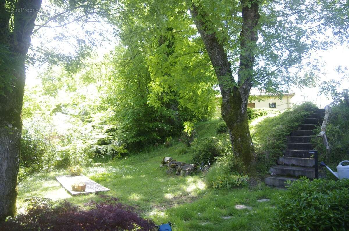 à VENDRE  proche Aignan  propriété de charme  sur 3646 m² de terrain avec piscine et Gîte séparé - photo 9