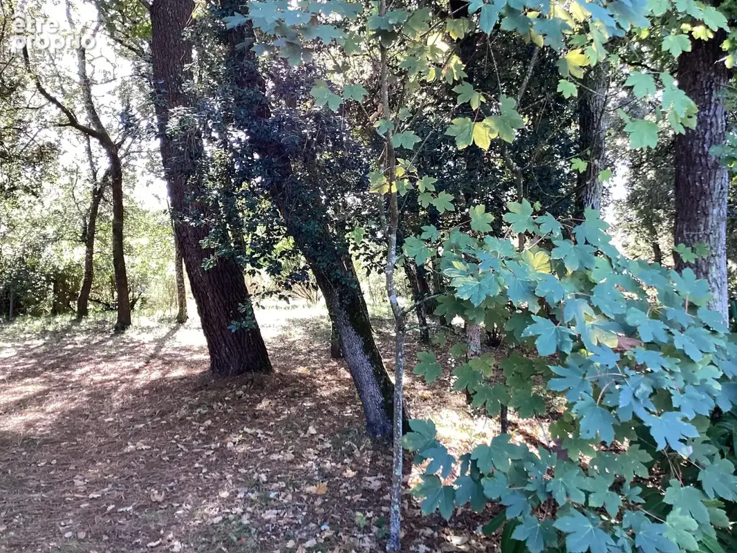 Terrain 864 m² à vendre à Le Verdon-Sur-Mer (33123) - photo 3