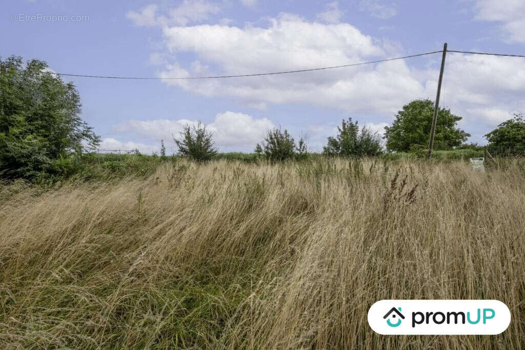 Terrain à THIEUX