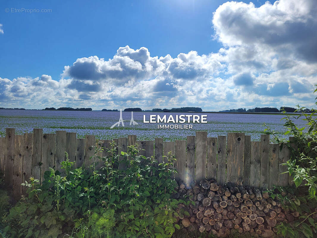 Terrain à FAUVILLE-EN-CAUX