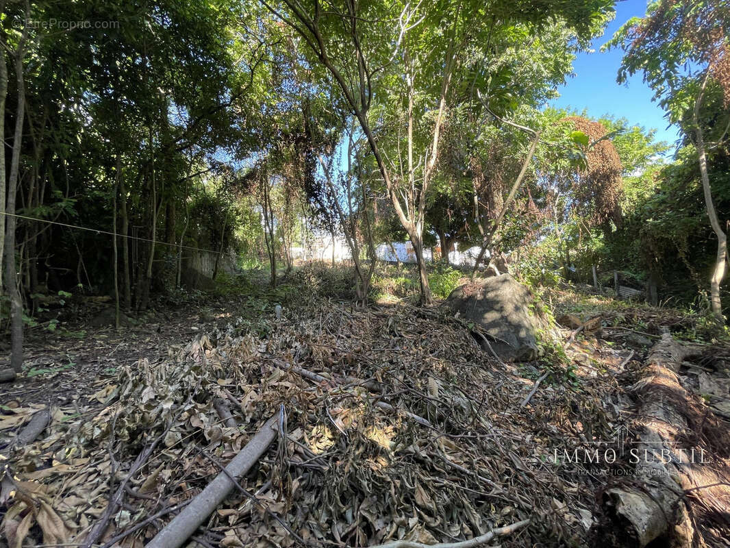 Terrain à GOURBEYRE