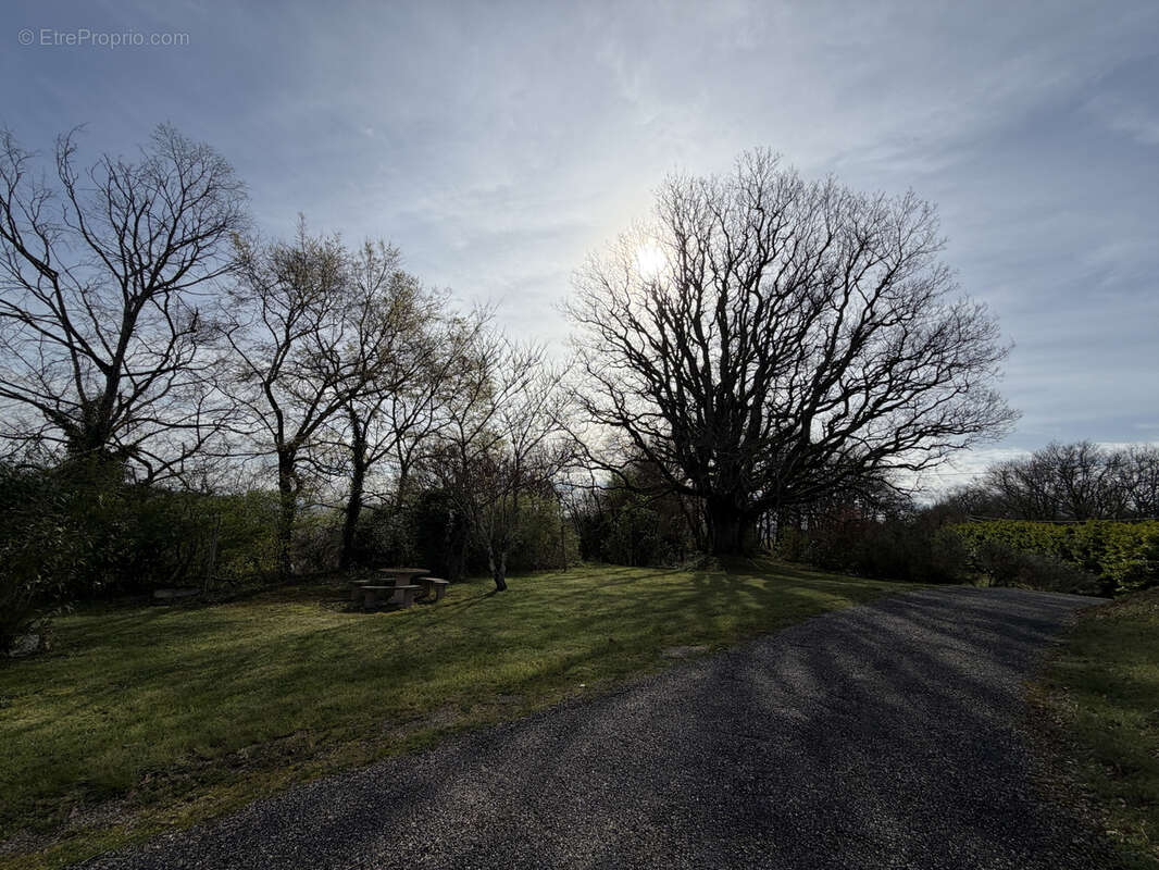 Maison à SAINT-PIERRE-DE-CLAIRAC