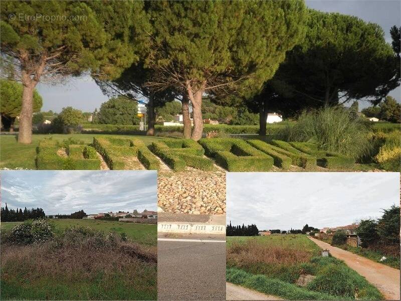 Terrain à GARONS
