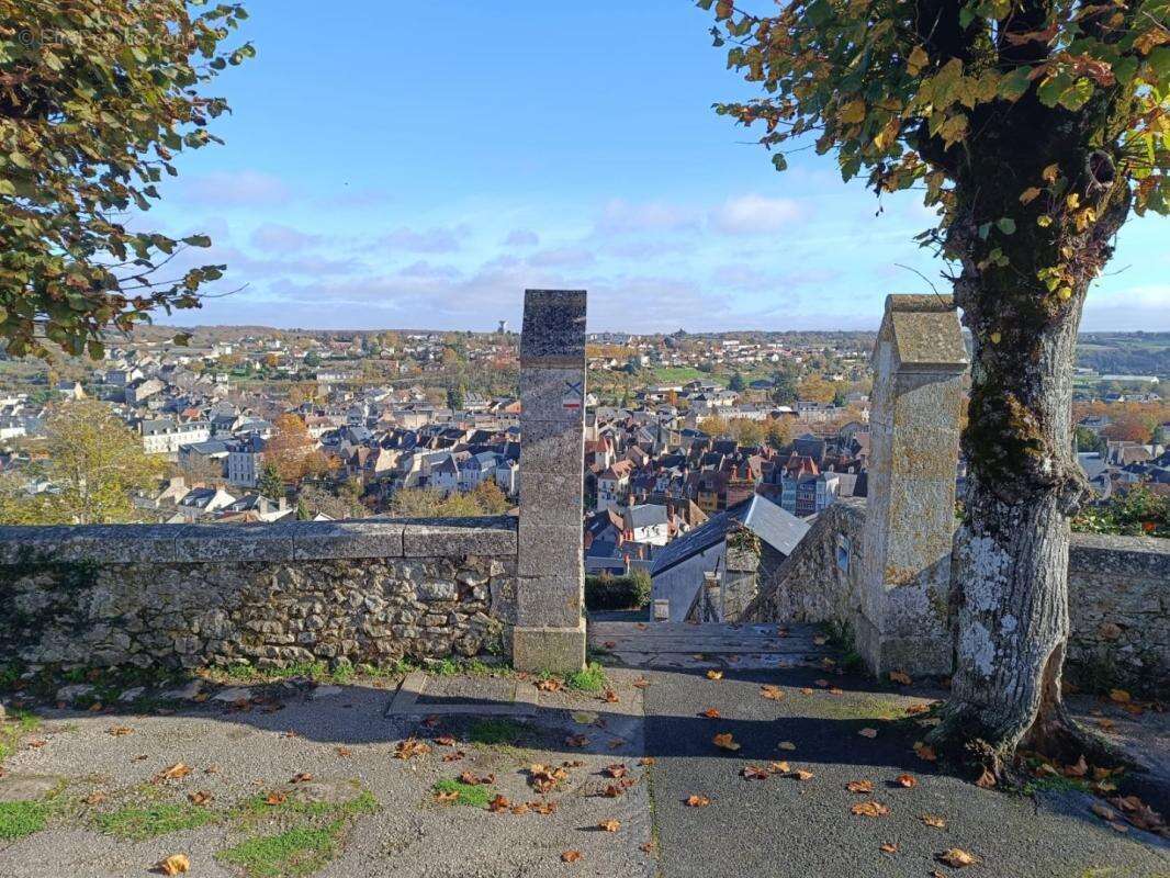 Maison à ARGENTON-SUR-CREUSE