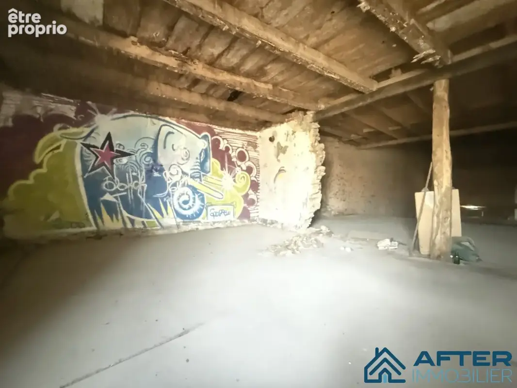 Maison 300 m² à Xermamenil  - photo 3