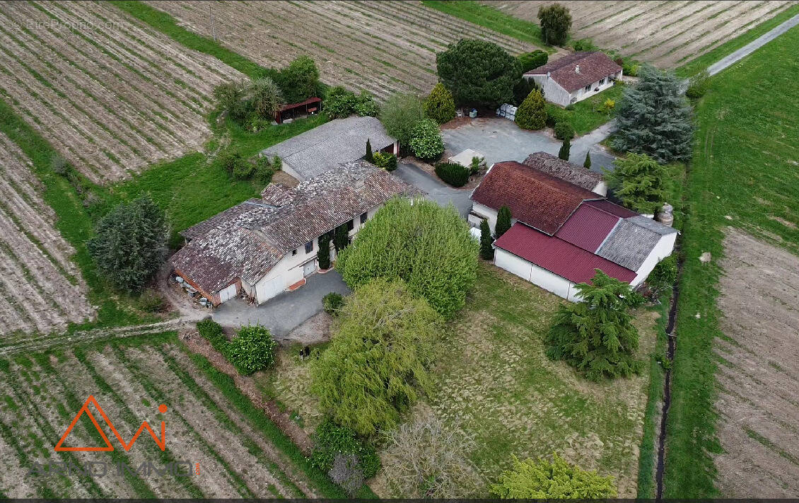 Maison à LISLE-SUR-TARN