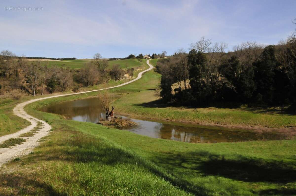Magnifique emplacement pour ce domaine avec 5 maisons - photo 8