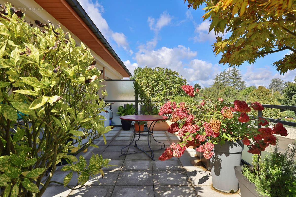 Appartement à TASSIN-LA-DEMI-LUNE