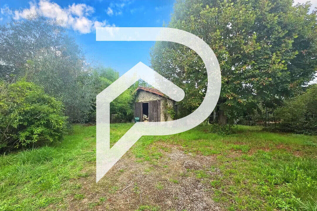 Maison à LISLE-SUR-TARN