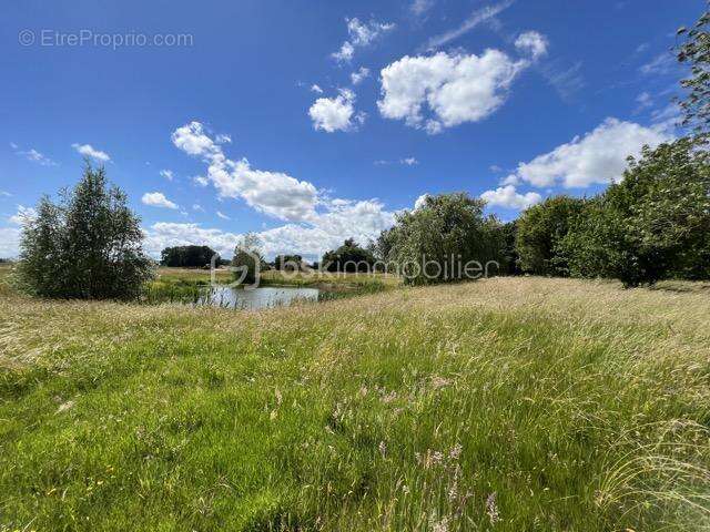 Maison à FONTENAY-TRESIGNY