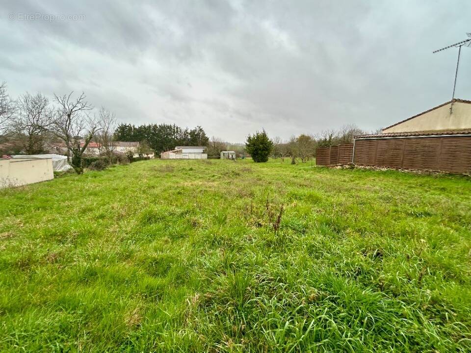 Terrain à MARSAIS-SAINTE-RADEGONDE