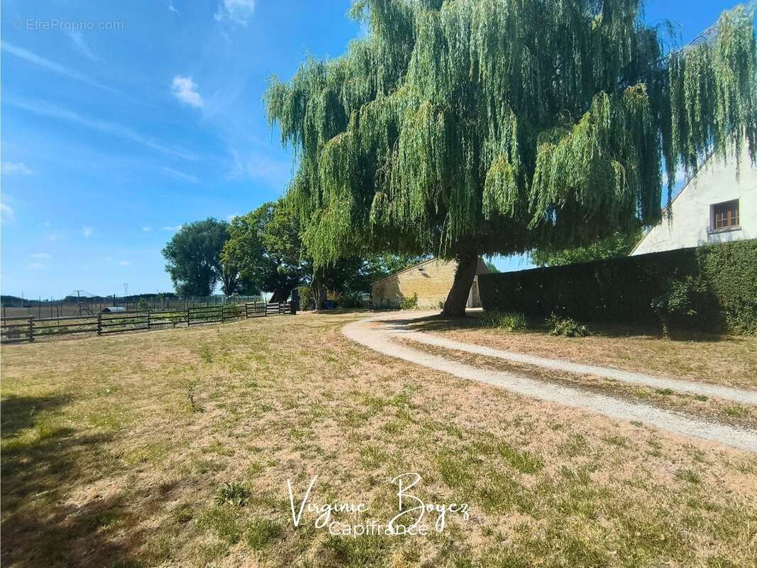 Maison de campagne 190 m² – 4 chambres – Terrain clos de 7 500 m² – Beau potentiel - photo 12