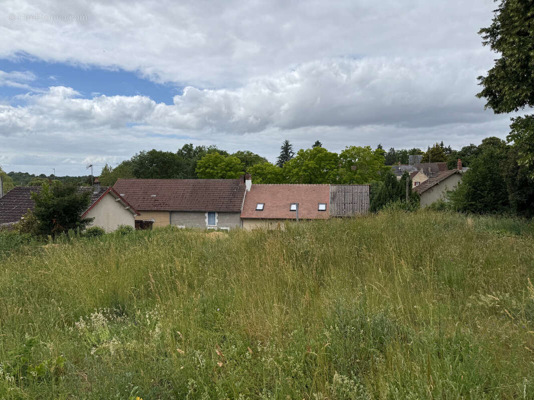 Terrain 3162 m² à Montgivray  - photo 3
