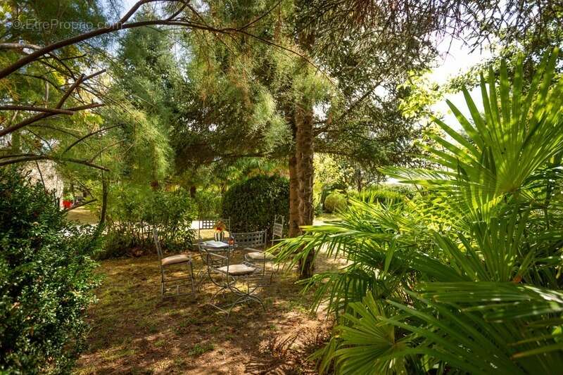 Dpt  (32) : ELEGANT CHATEAU XIX, sans travaux, bases médievales avec douves, piscine, sur 9100m2 jardin clos - photo 26