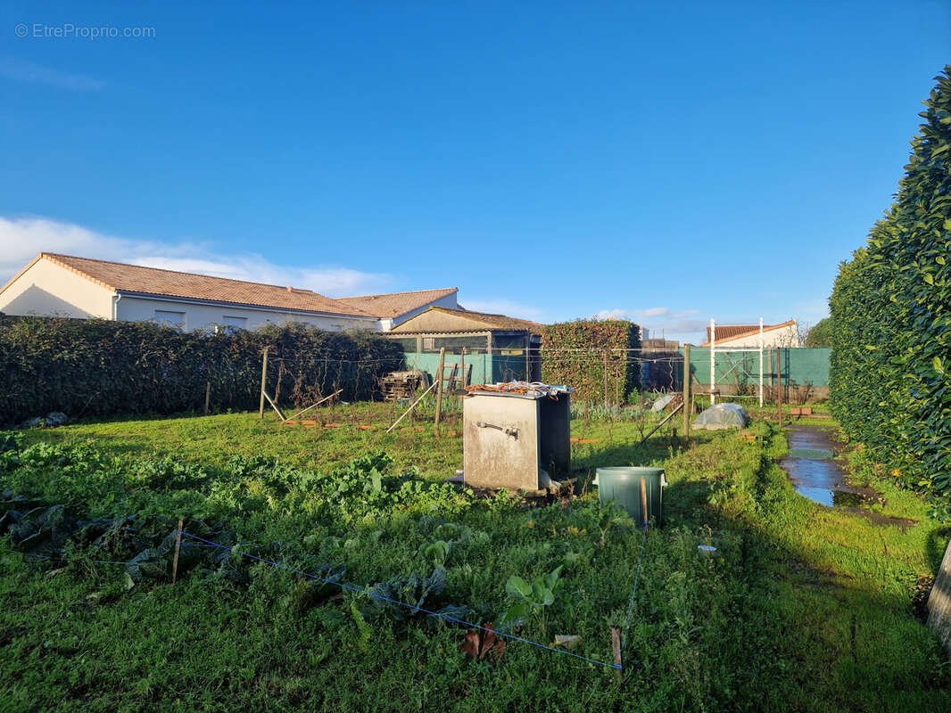 Terrain à SAINT-PHILBERT-DE-BOUAINE