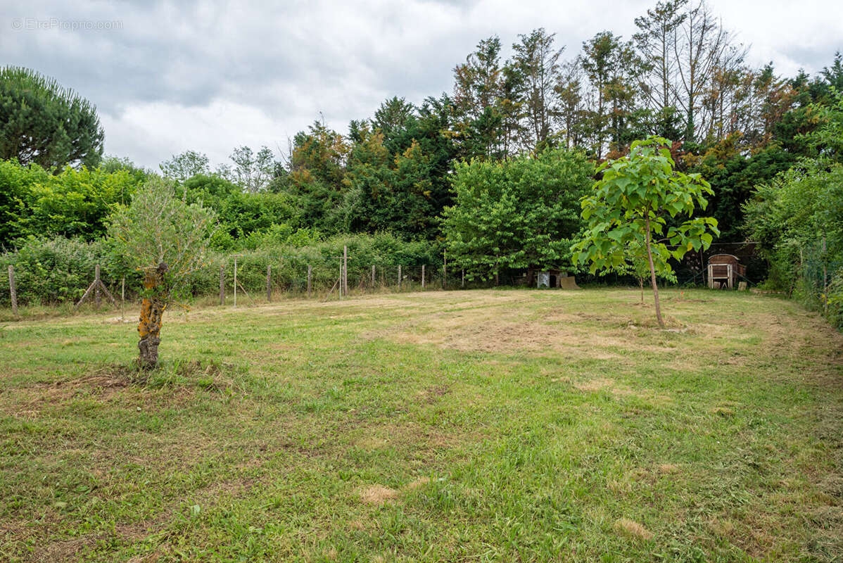 Maison à VILLENEUVE-DE-MARSAN