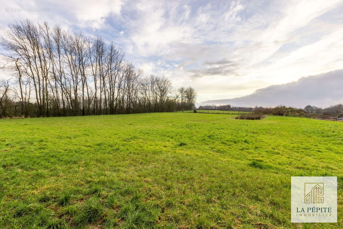 Maison à BERLAIMONT