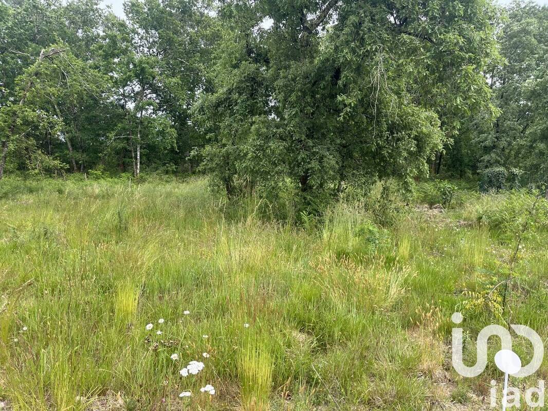 Photo 2 - Terrain à SALLES