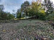 Terrain à BLIENSCHWILLER