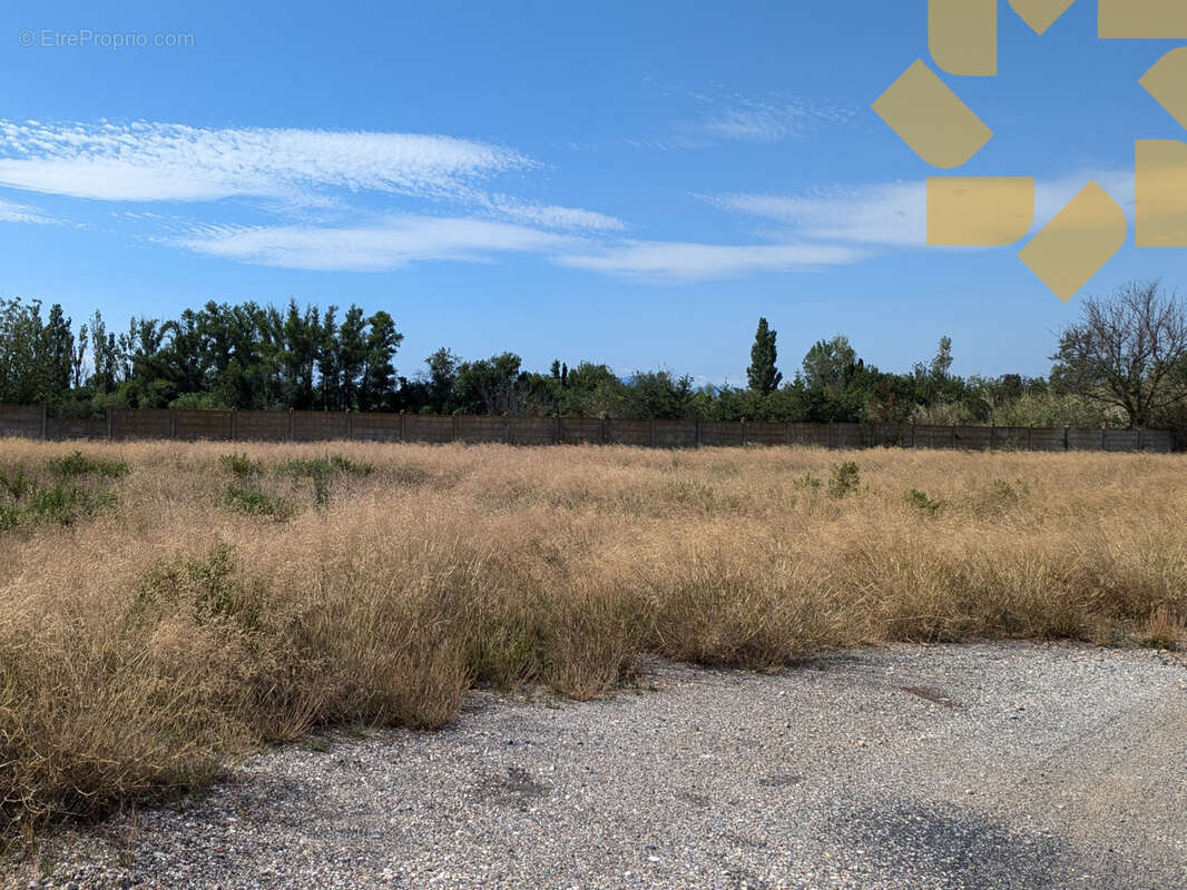 Terrain à PEZILLA-LA-RIVIERE