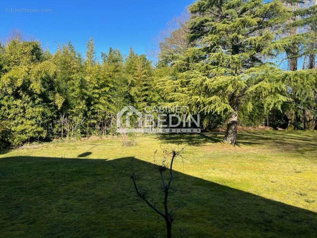 Terrain à BISCARROSSE