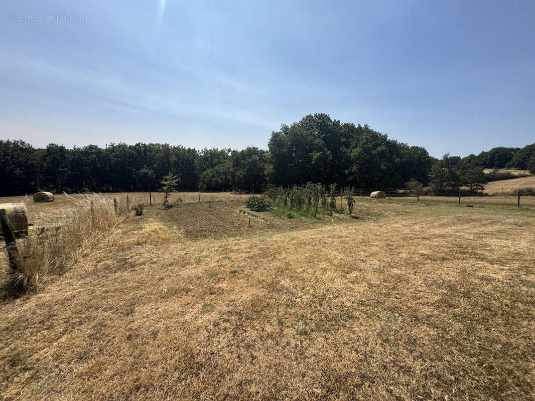 Propriété d'exception 203 m2 & Dépendances de 215 m2 - photo 6