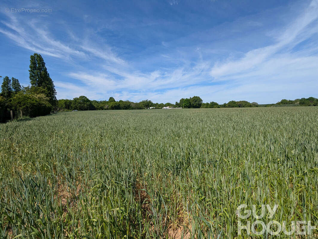 Terrain à CHAUVIGNY