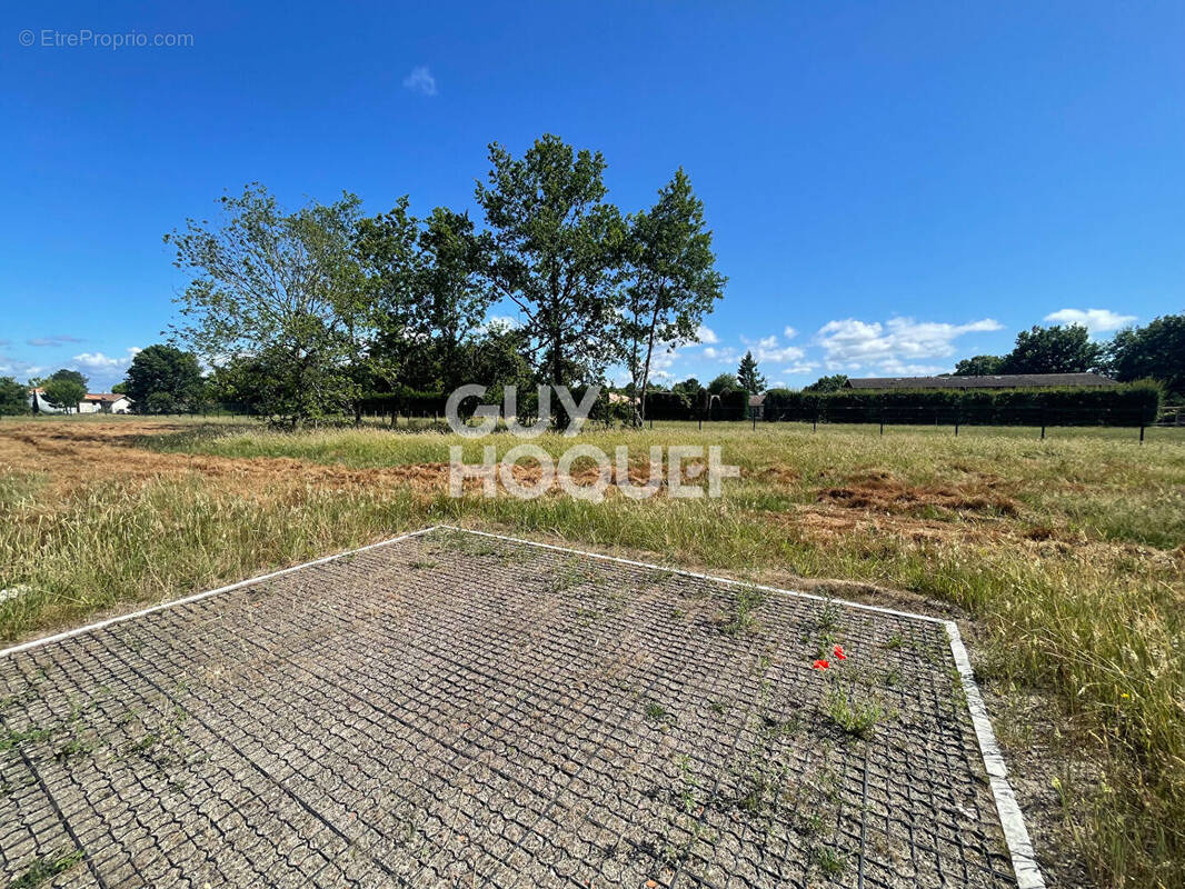 Terrain à PARENTIS-EN-BORN