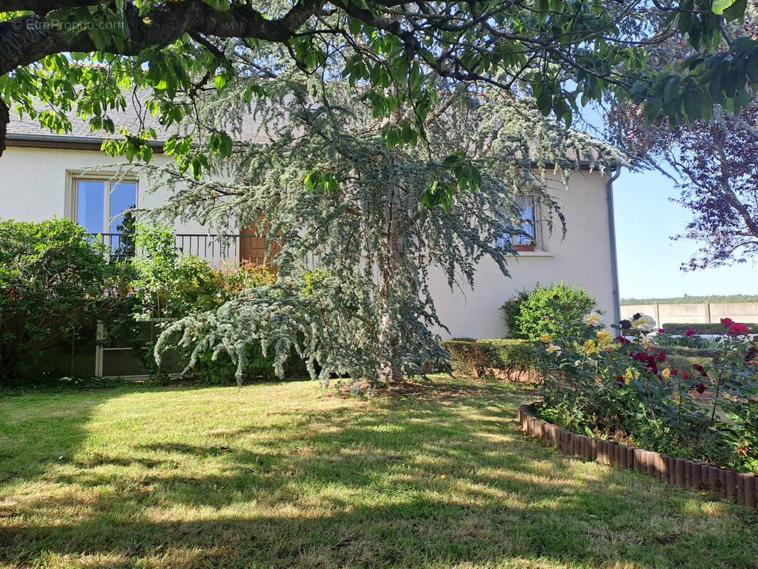 Maison à LE FRESNE-SUR-LOIRE