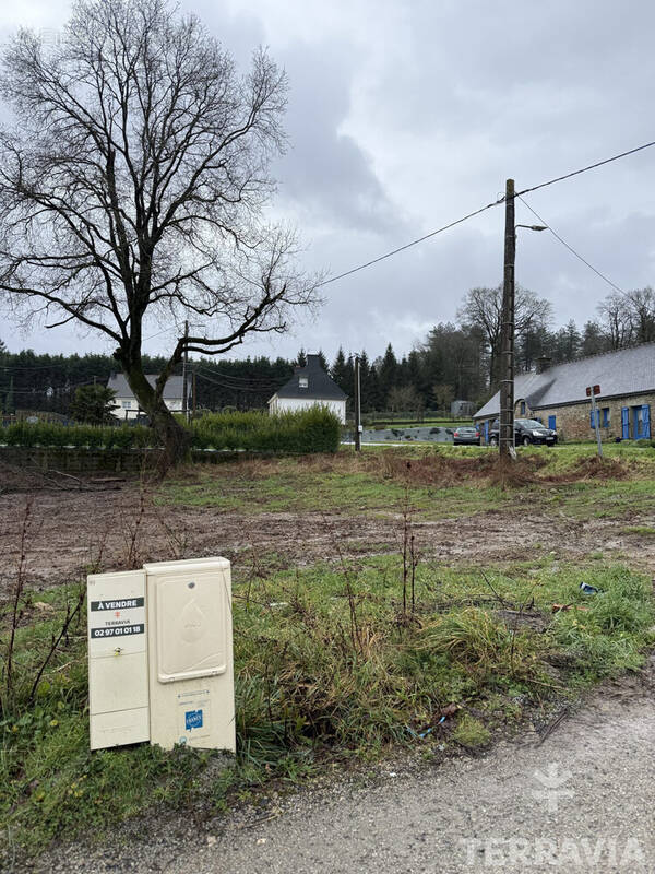 Terrain à PLUMELEC