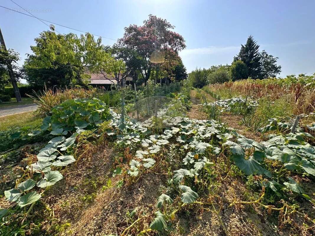 Maison à SAINTE-DODE