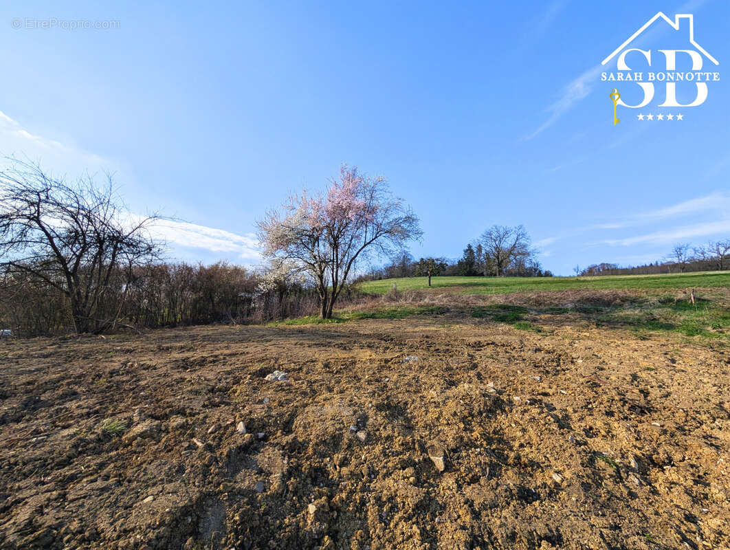 Terrain à WALDIGHOFEN