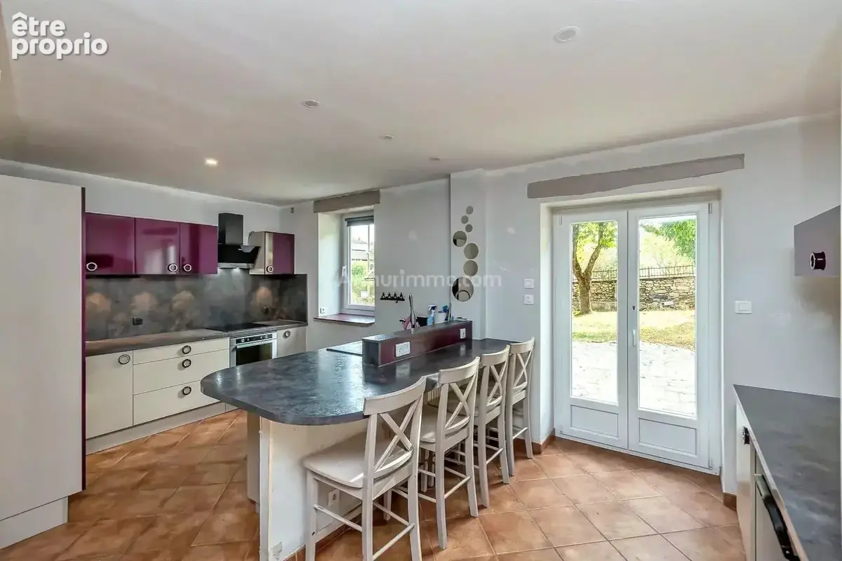 Vente Maison Sermerieu(38510) 550 000ï¿œ - photo 9