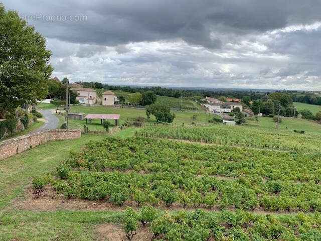 Maison à VILLEFRANCHE-SUR-SAONE