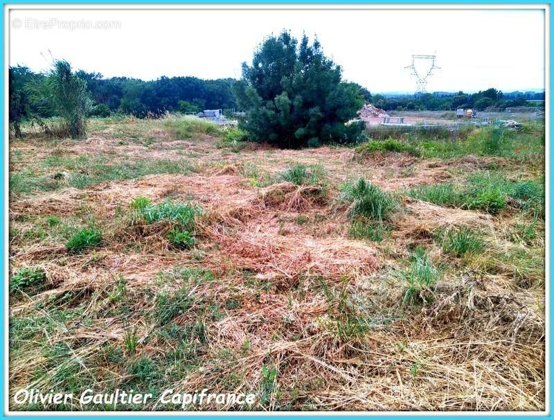 Terrain à TOUROUZELLE