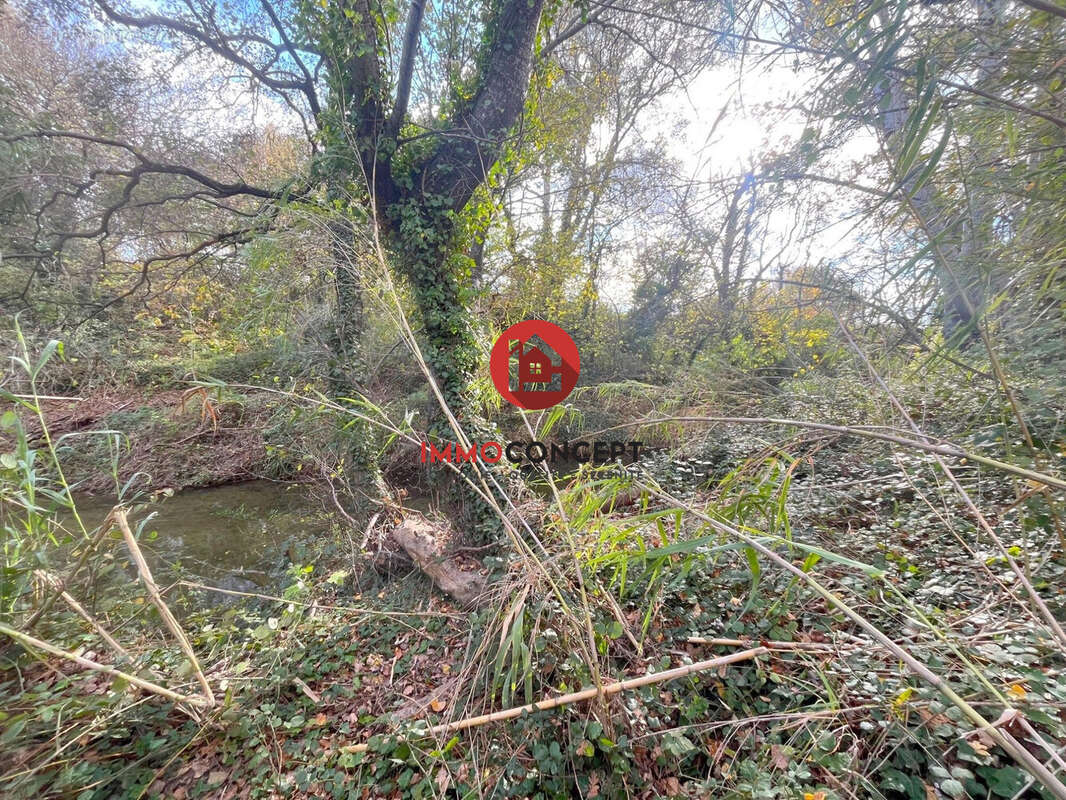 Terrain à LAUDUN-L'ARDOISE