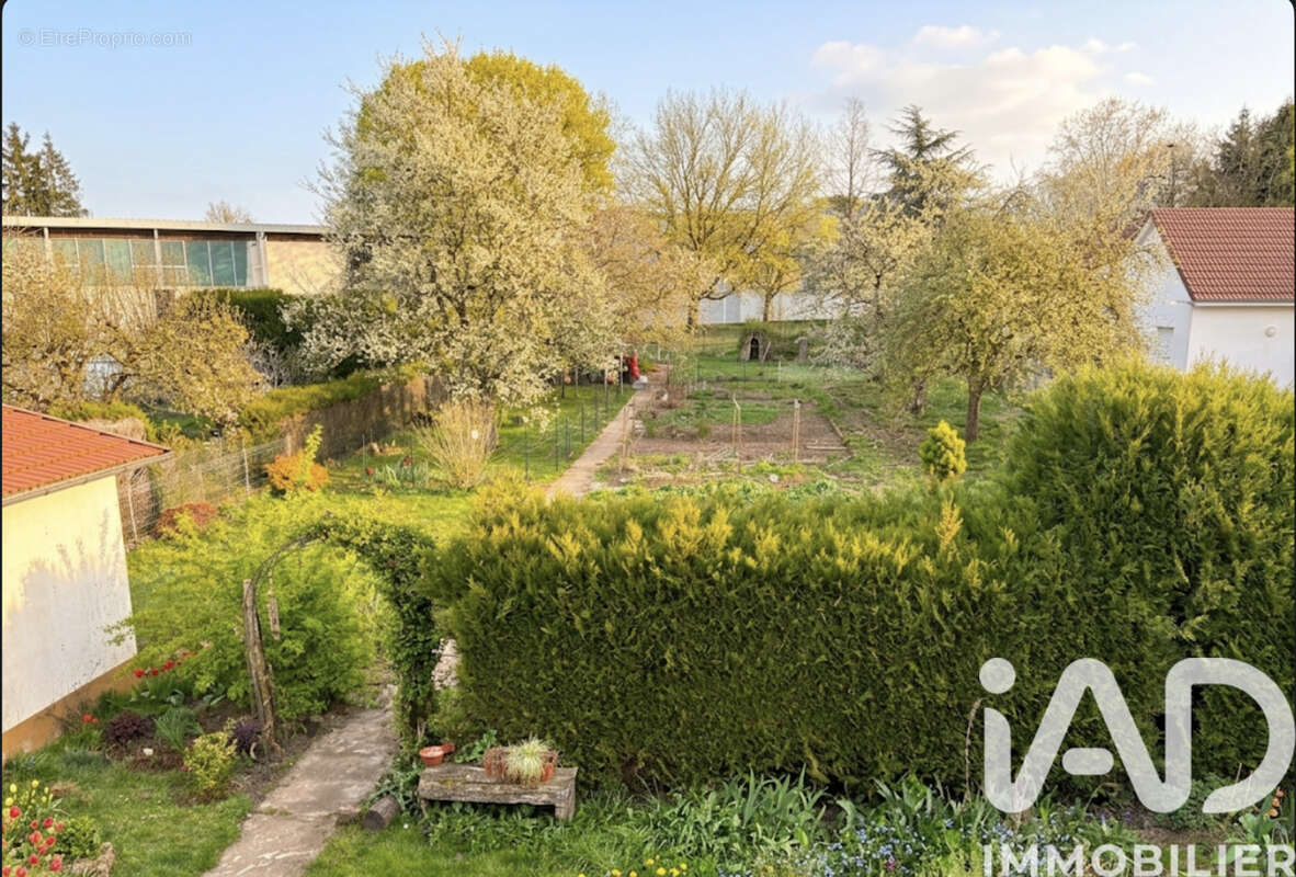 Photo 3 - Maison à GRAY