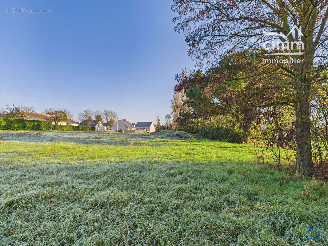 Terrain à LONGUE-JUMELLES