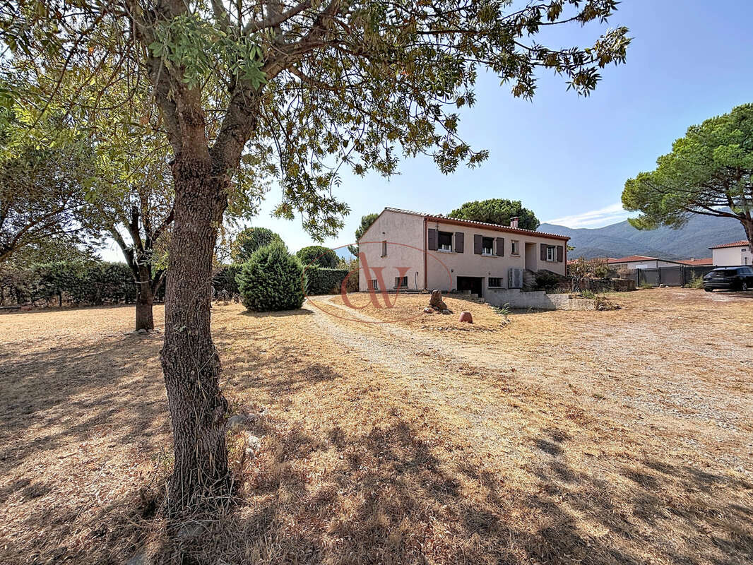 Maison plain pied 4 faces 100m2 - parcelle 3106m2 encore constructible - ( villelongue-dels-monts ) - photo 2