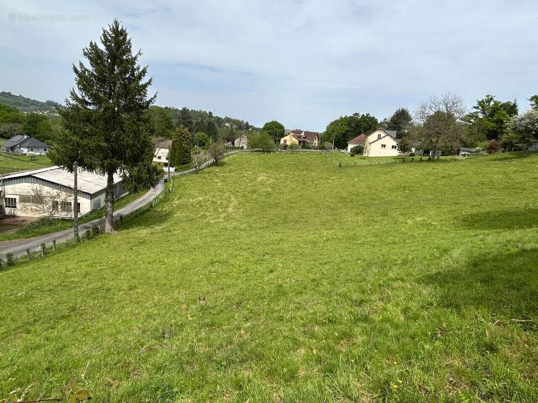 Terrain à SAINTE-FORTUNADE