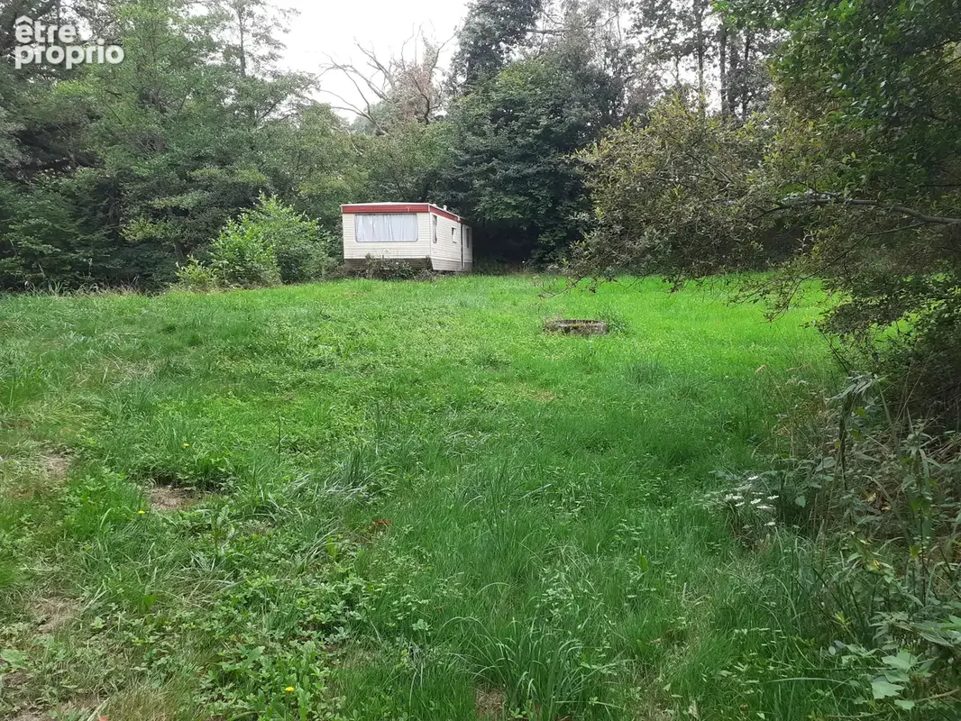 Terrain de loisirs avec etang - photo 4