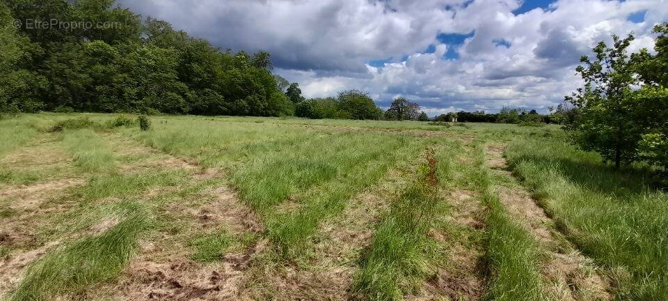Terrain à TREMAUVILLE