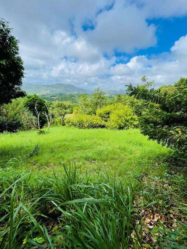 Terrain de 7516 m² - photo 2