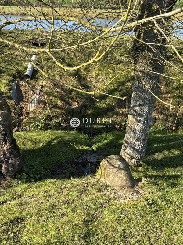 Terrain à LE PUISET-DORE
