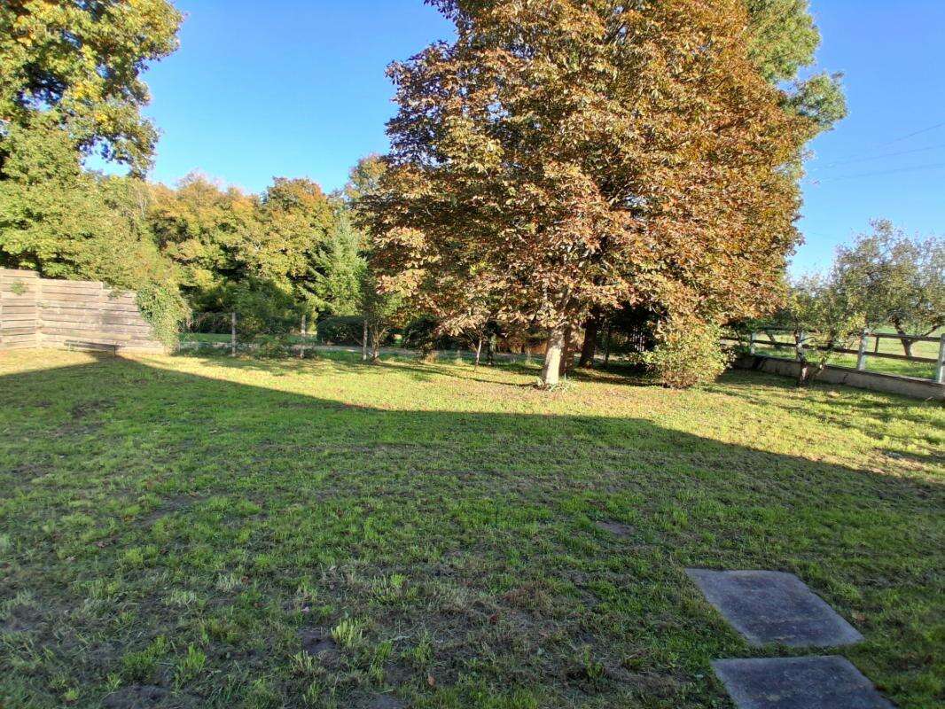 Maison à CHATEAU-RENARD