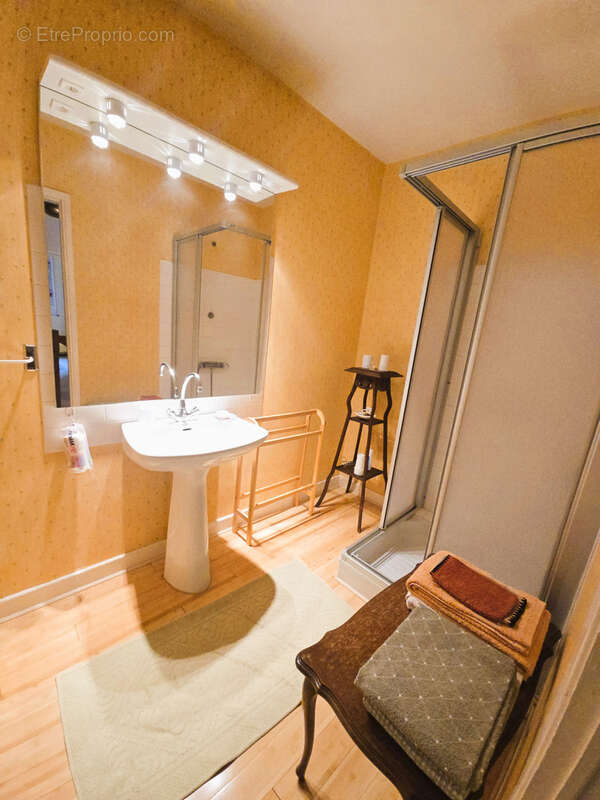 Maison à LA ROCHE-BLANCHE