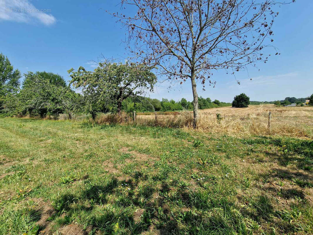 Ancienne ferme avec dépendances sur terrain de 1.2 hectare - photo 8