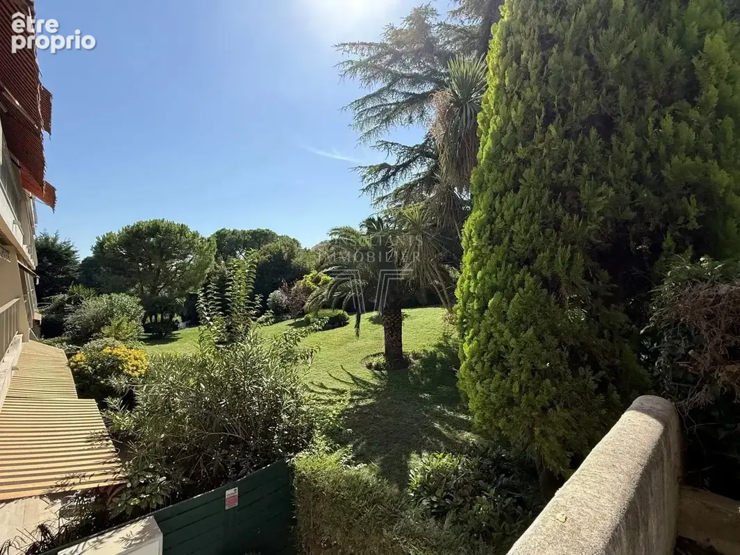 Montrose. appartement en rez-de-jardin - photo 19